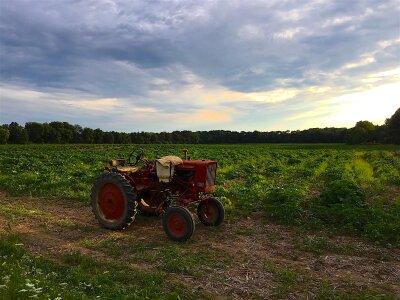 Light agriculture field photo