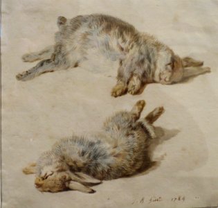 Two Rabbits Asleep by Jean-Baptiste Huet, 1784, Honolulu Museum of Art, 19332
