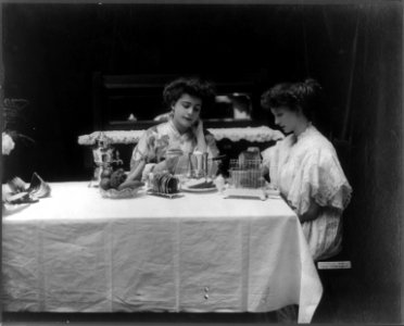 Two women seated at breakfast table with electric heating and cooking appliances LCCN2005685987