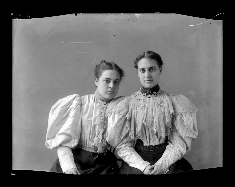 Two unidentified women, half-length portrait, seated facing front LCCN2016647129