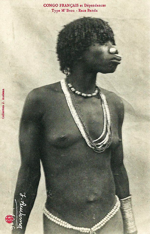 Type M'Brou-Race Banda-Congo Français