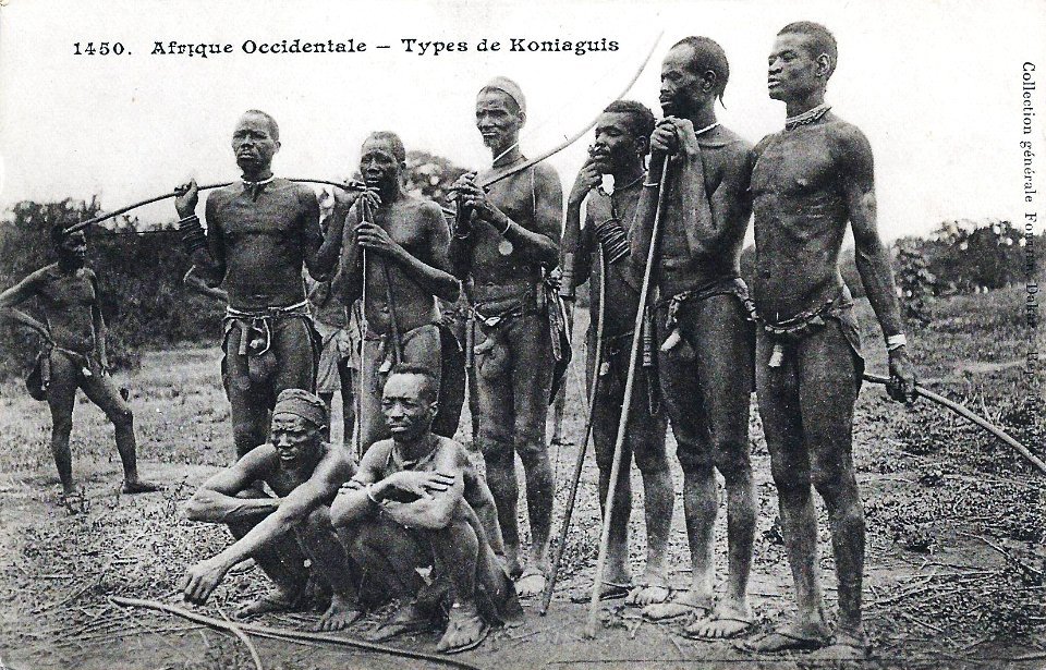 Types de Koniaguis--Afrique Occidentale