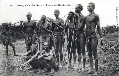 Types de Koniaguis--Afrique Occidentale