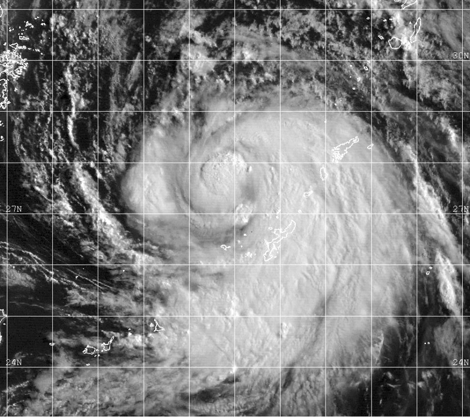 Typhoon Olga 1999