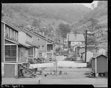 Typical backyards. U.S. Coal and Coke Company, Gary Mines, Gary, McDowell County, West Virginia. - NARA - 540874 photo