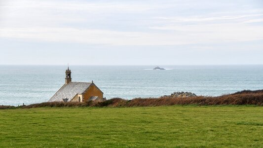 Grass rock landscape
