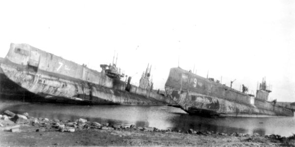 Tyulen'&Utka-Bizerte
