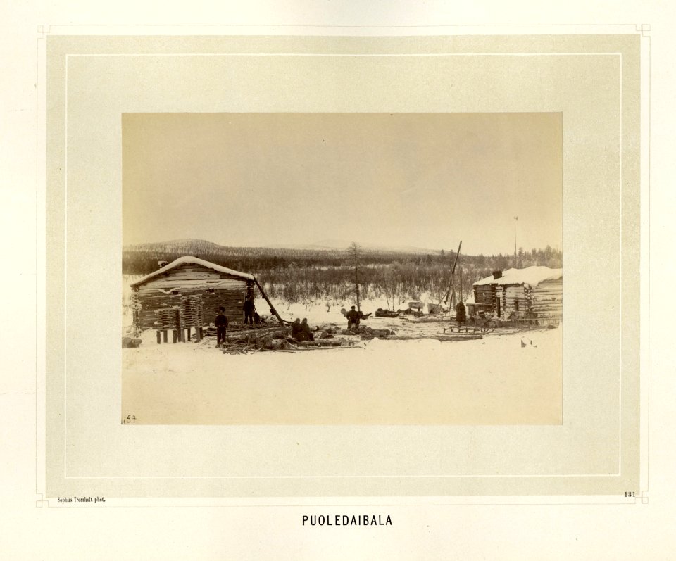 Tømmerhogst ved Puoledaibala på fjellvidda nord i Finland - Norsk folkemuseum - NF.15006-125