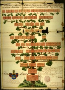 Tyškievičy. Тышкевічы (1802-40)