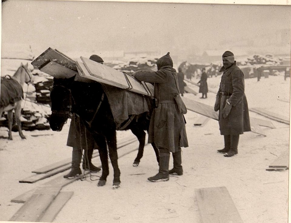 Türk. Tragtiere, Brettertransport (BildID 15530158)