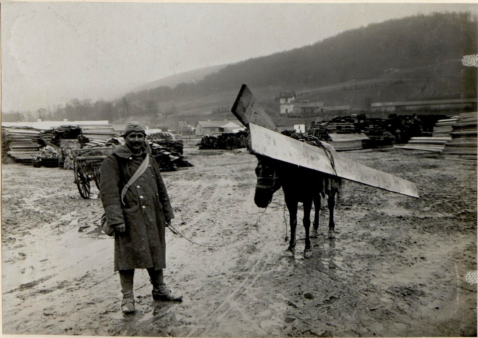 Türkische Tragtiere in Podwiesoky (BildID 15529514)