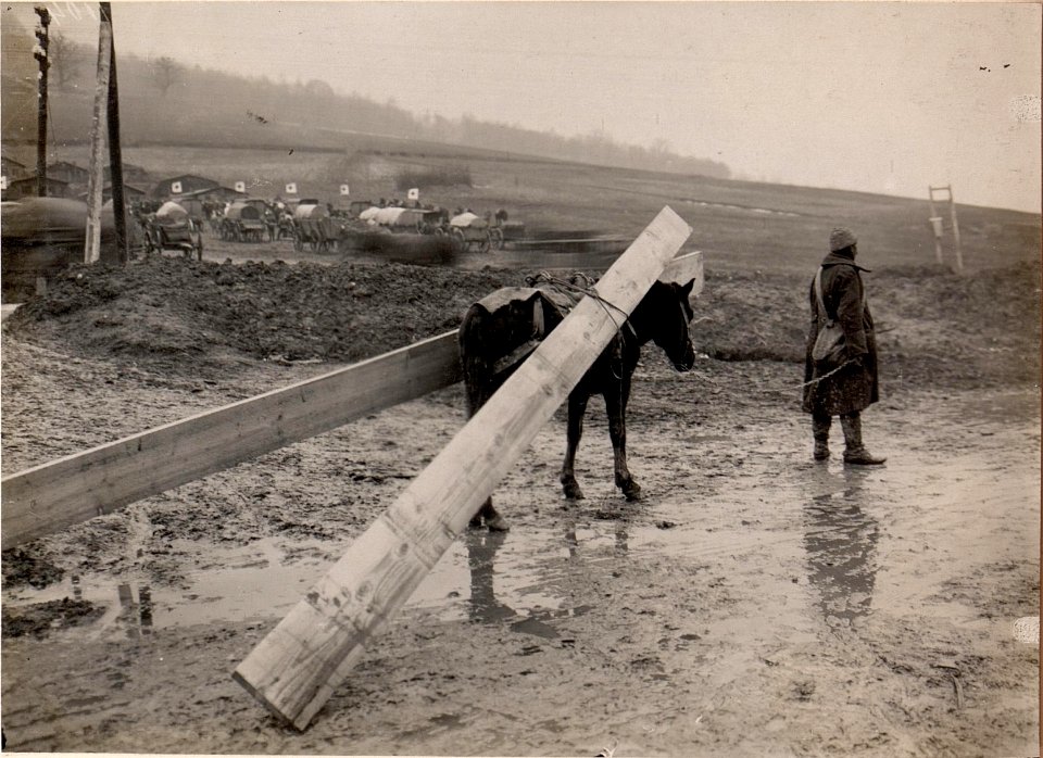 Türkische Tragtiere in Podwiesoky. (BildID 15529528)