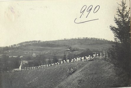 Türkischer Heldenfriedhof beim Bahnhof Podwysokie. (BildID 15727873)