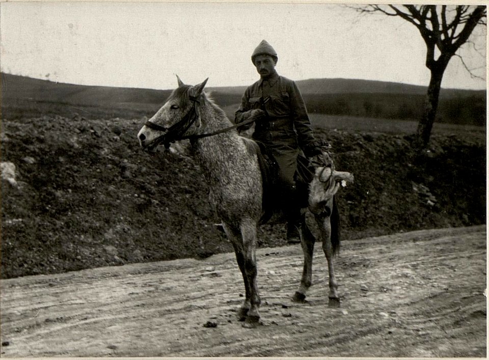 Türk.Hahnfänger Kurzany (BildID 15529437)
