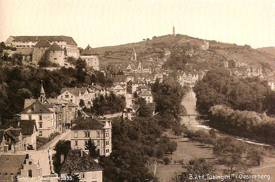 Tübingen mit Österberg (AK 24a L Schaller 1895 TPk051)