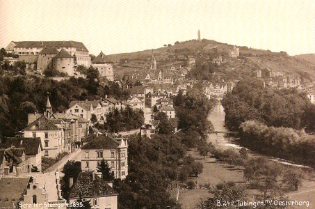 Tübingen mit Österberg (AK 24a L Schaller 1895 TPk051)