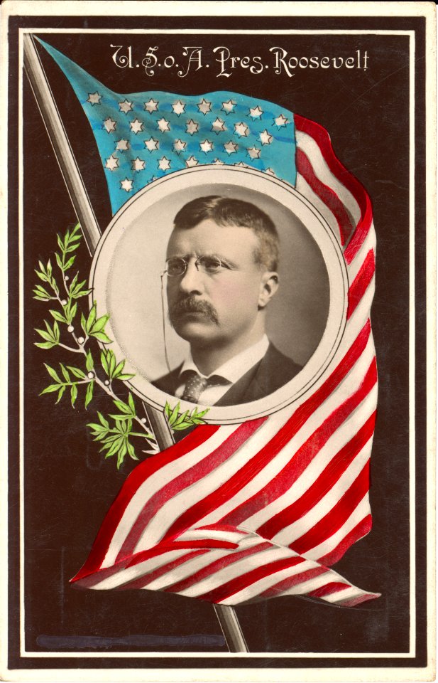 U. S. o(f) A., Pres. Roosevelt LCCN2008680526