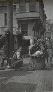 Türkischer Weintraubenverkäufer. (BildID 15674941)