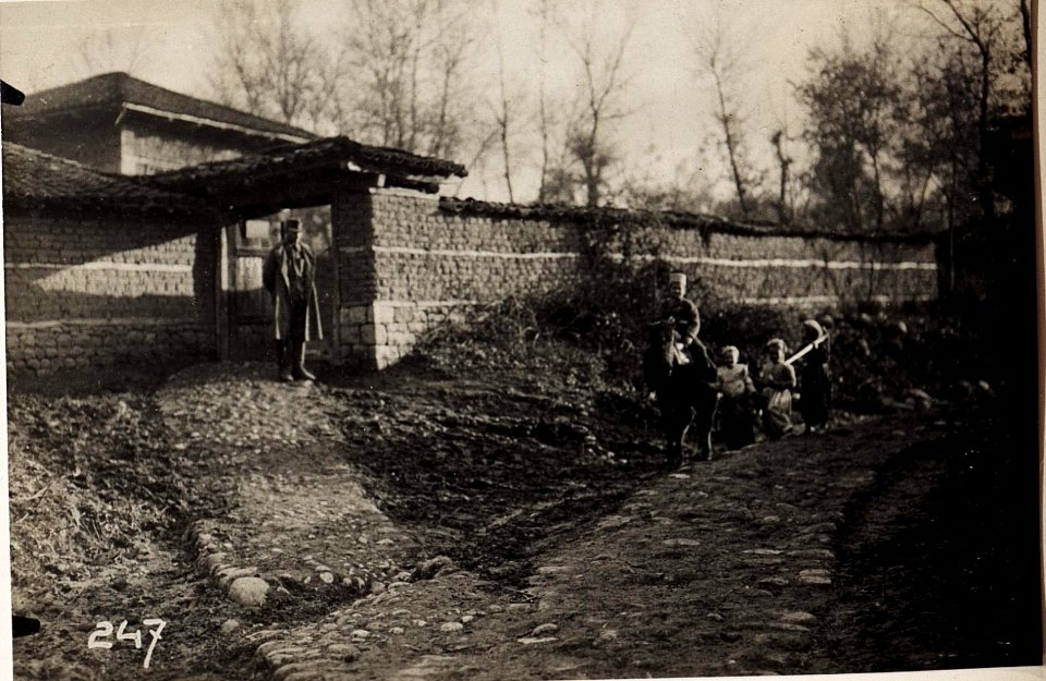 Türkenhaus in Pekinj. (BildID 15571554)