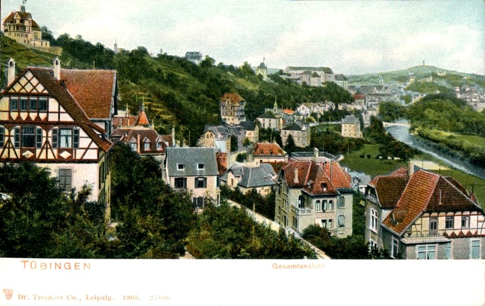 Tübingen von der Biesingerstraße (AK 25006 Trenkler L 1903)