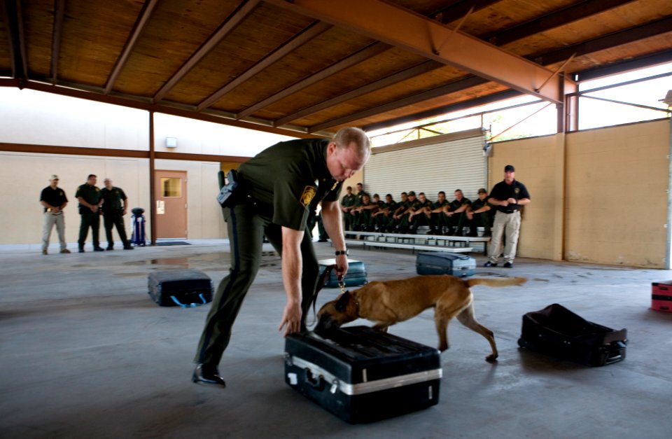 U.S Customs & Border Protection, Border Patrol Agent and K9 Training Session