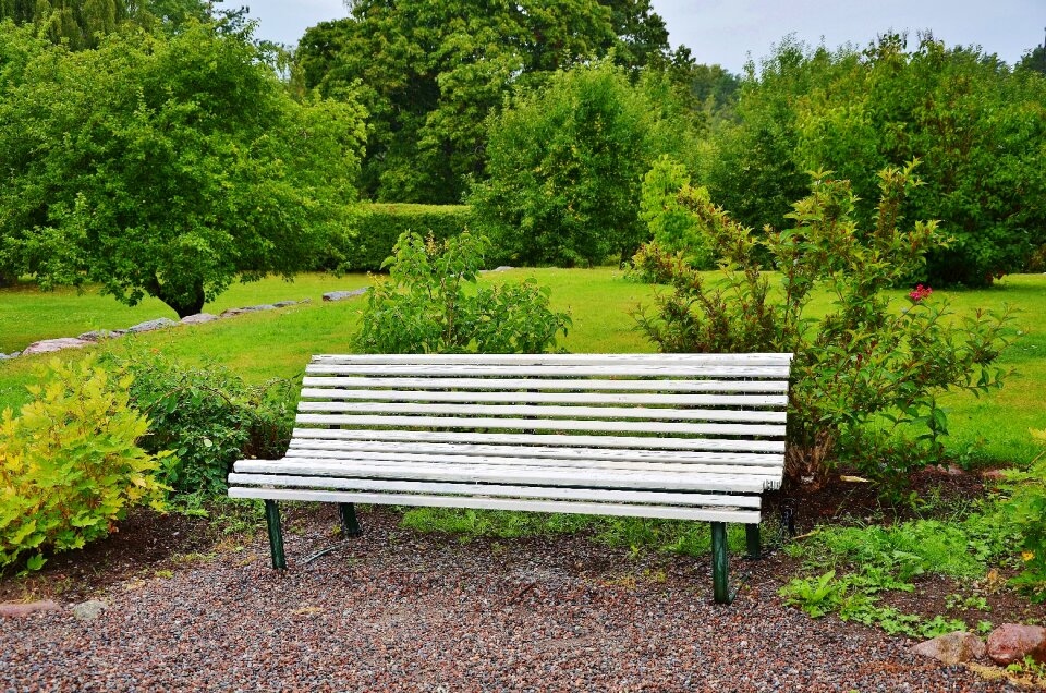 Rest wood landscape photo