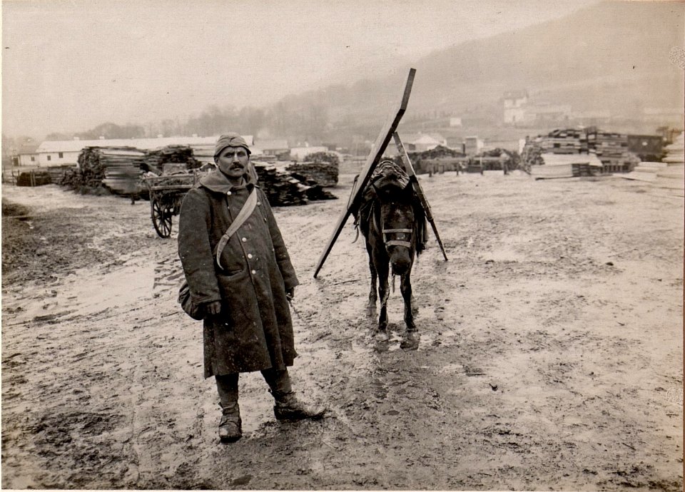 Türkische Tragtiere in Podwiesoky. (BildID 15529521)