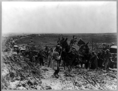 U.S. Army in France - mule-drawn ammunition wagons stuck in mud LCCN2016652677