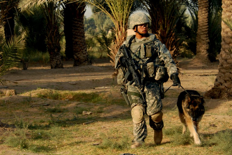 U.S. Airmen, Military Dogs Patrol Streets DVIDS118682