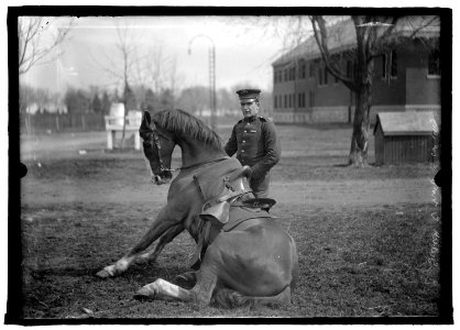 U.S. Army horse stunts, Ft. Myer, Va. (prior to 1915) LCCN2016851171