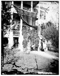 U.S. Army band standing on steps LOC cwpbh.03359