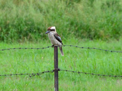 Outdoors australia nature