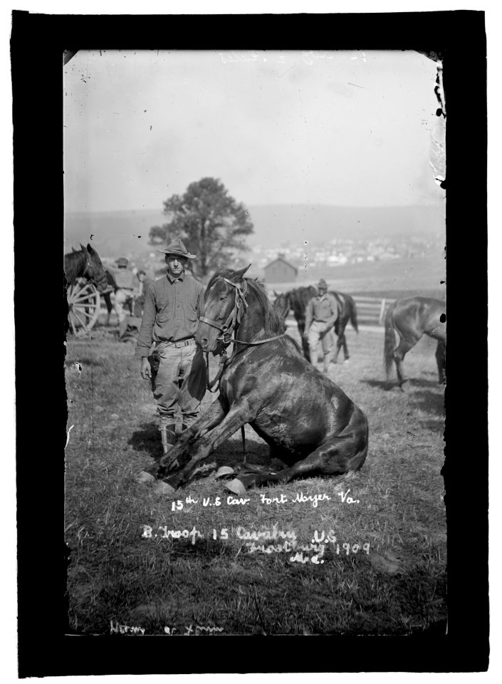 U.S. Army horse stunts, B Troop, 15th U.S. Cavalry, Frostburg, Md., 1909 LCCN2016851174