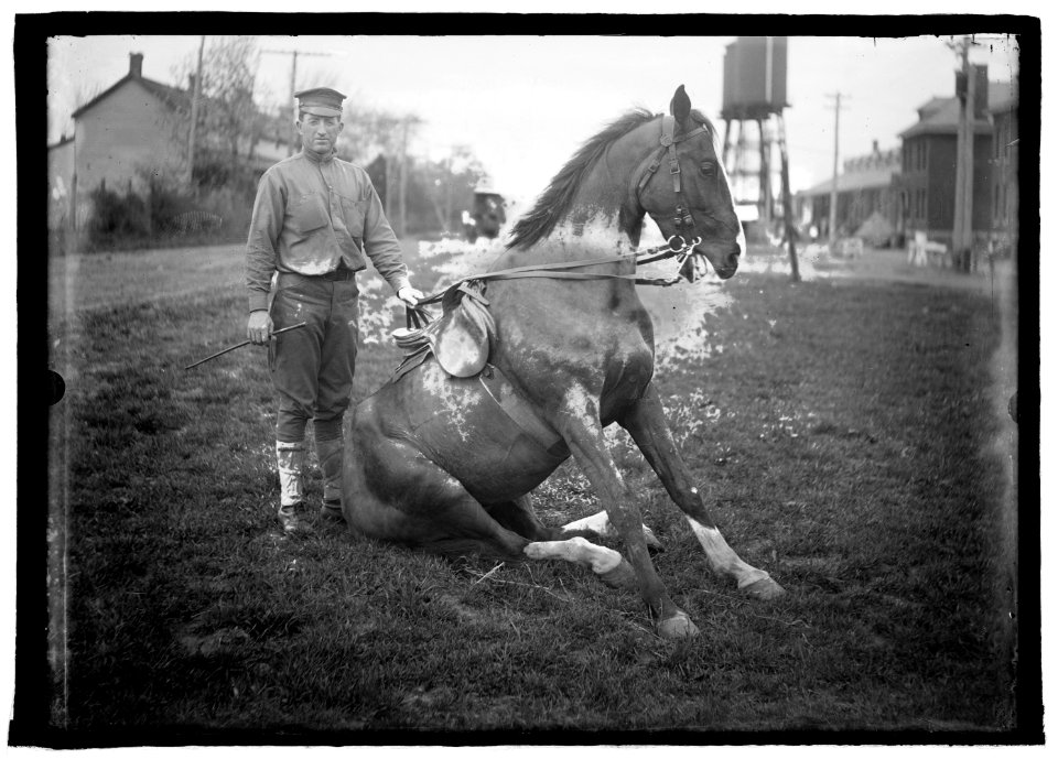 U.S. Army horse stunts, Ft. Myer, Va. (prior to 1915) LCCN2016851170