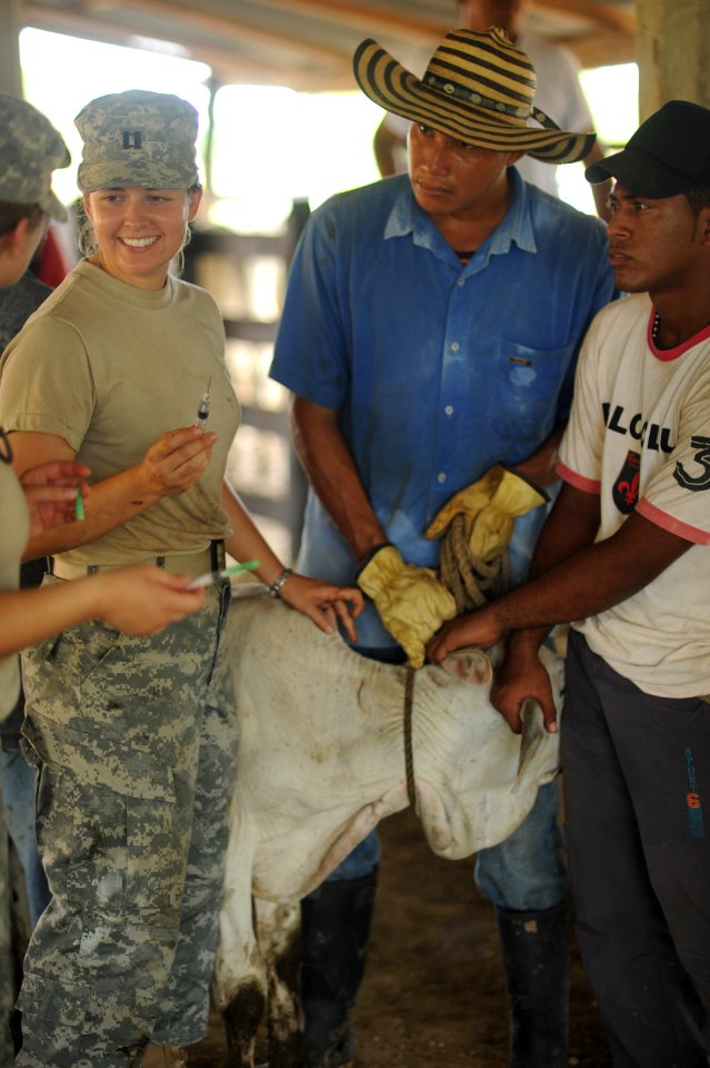 U.S. Army captain Rebecca Cardan (left) helps specialist Rachel Kirkey immunize a baby calf in Colombia during operation Continuing Promise 2010