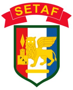 U.S. Army Africa Shoulder Sleeve Insignia