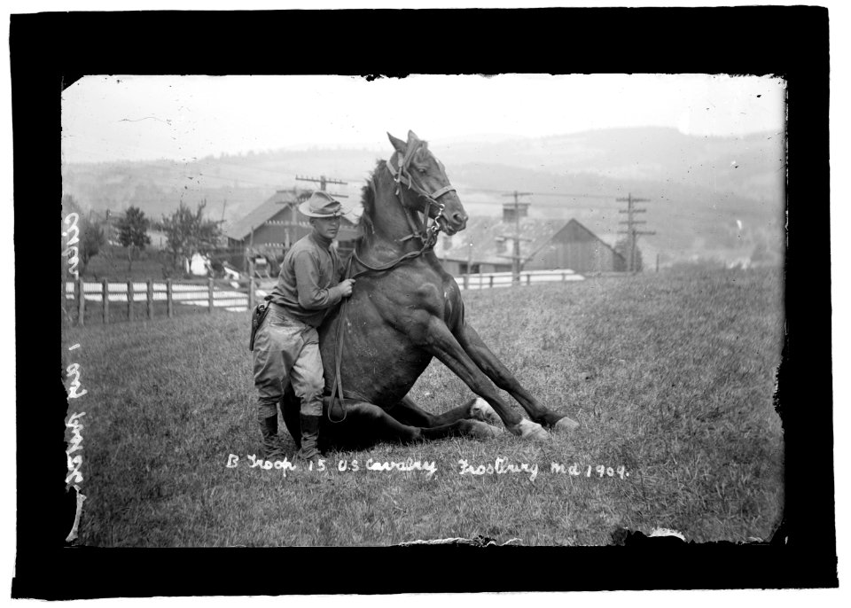 U.S. Army horse stunts, B Troop, 15th U.S. Cavalry, Frostburg, Md., 1909 LCCN2016851173