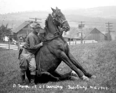 U.S. Army horse stunts, B Troop, 15th U.S. Cavalry, Frostburg, Md., 1909 LCCN2016851173 (cropped)