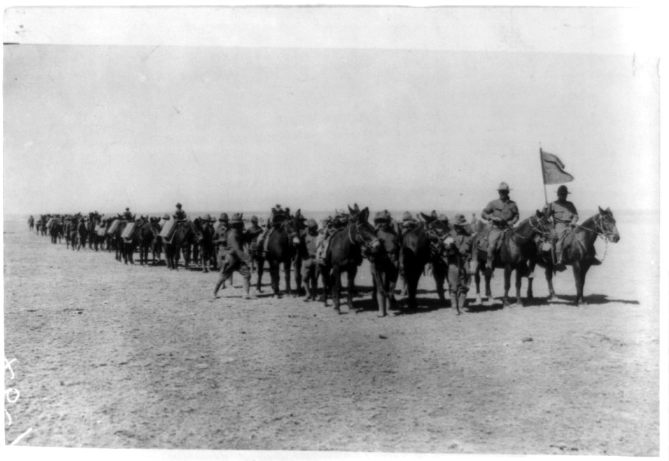 U.S. Army Punitive Expedition after Villa, Mexico- Battery C of the 4th Field Artillery, Mountain Battery holding a drill, with horses and mules LCCN2002718586