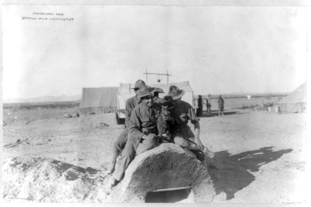 U.S. Army tent camp in Mexico, 1914- 3 soldiers sitting atop field oven with baby goat LCCN2003655563