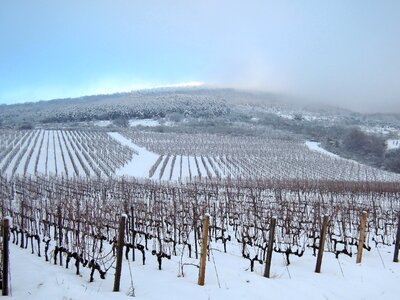 Cold mountain snow photo