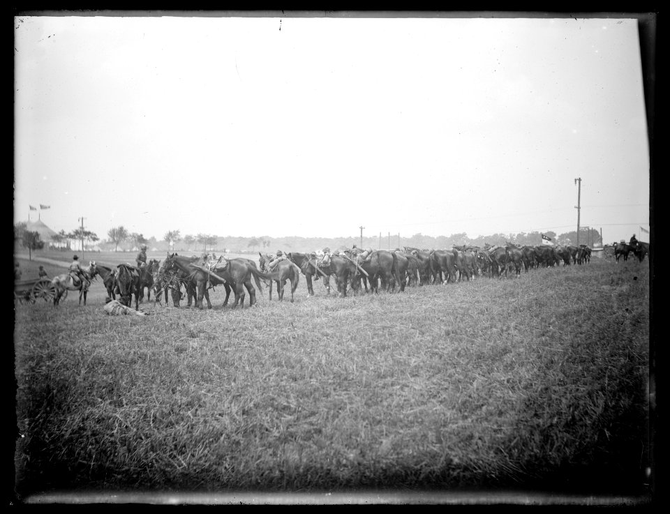 U.S. Cavalry LCCN2016824417