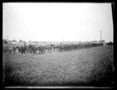 U.S. Cavalry LCCN2016824417