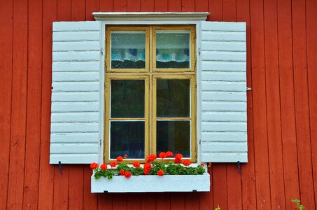 Window wood glass