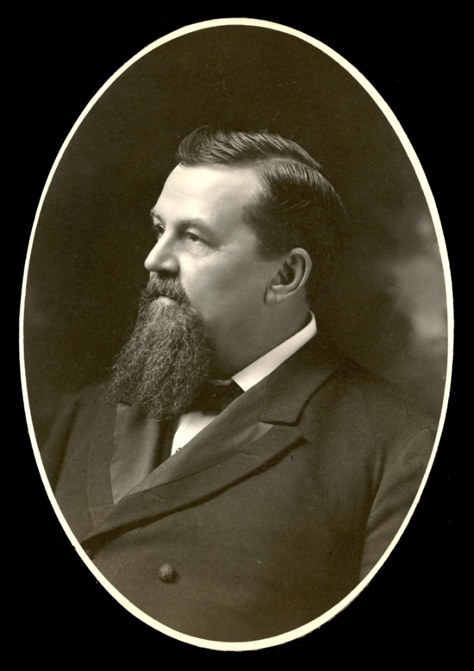 U.S. Congressman Joseph Weeks Babcock LCCN2006691860