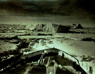 U.S. Coast Guard cutter heads into the North Atlantic ice pack, 1946 (22069296611)