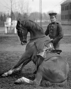 U.S. Army horse stunts, Ft. Myer, Va. (prior to 1915) LCCN2016851171 (cropped)