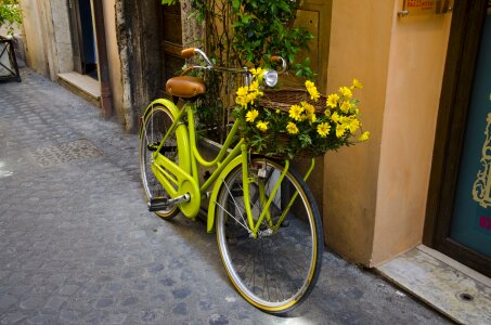 Flower basket outside