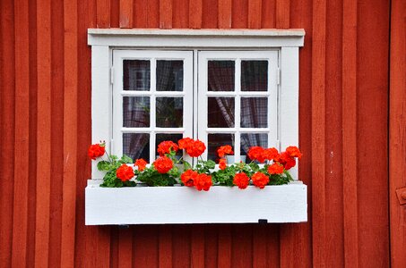 Window wood glass photo