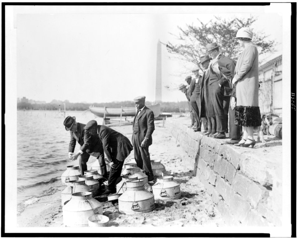 U.S. Fish Commissioner, Henry O'Malley, stocking fish in the Potomac River, at the Tidal Basin, Washington, D.C., with the Washington Monument in the background LCCN95502435